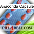 Anaconda Capsule 06